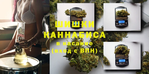 спайс Алексин