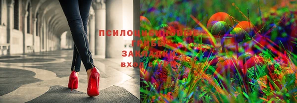 спайс Алексин