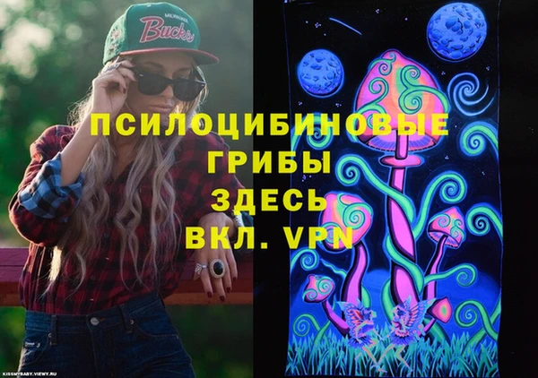 спайс Алексин